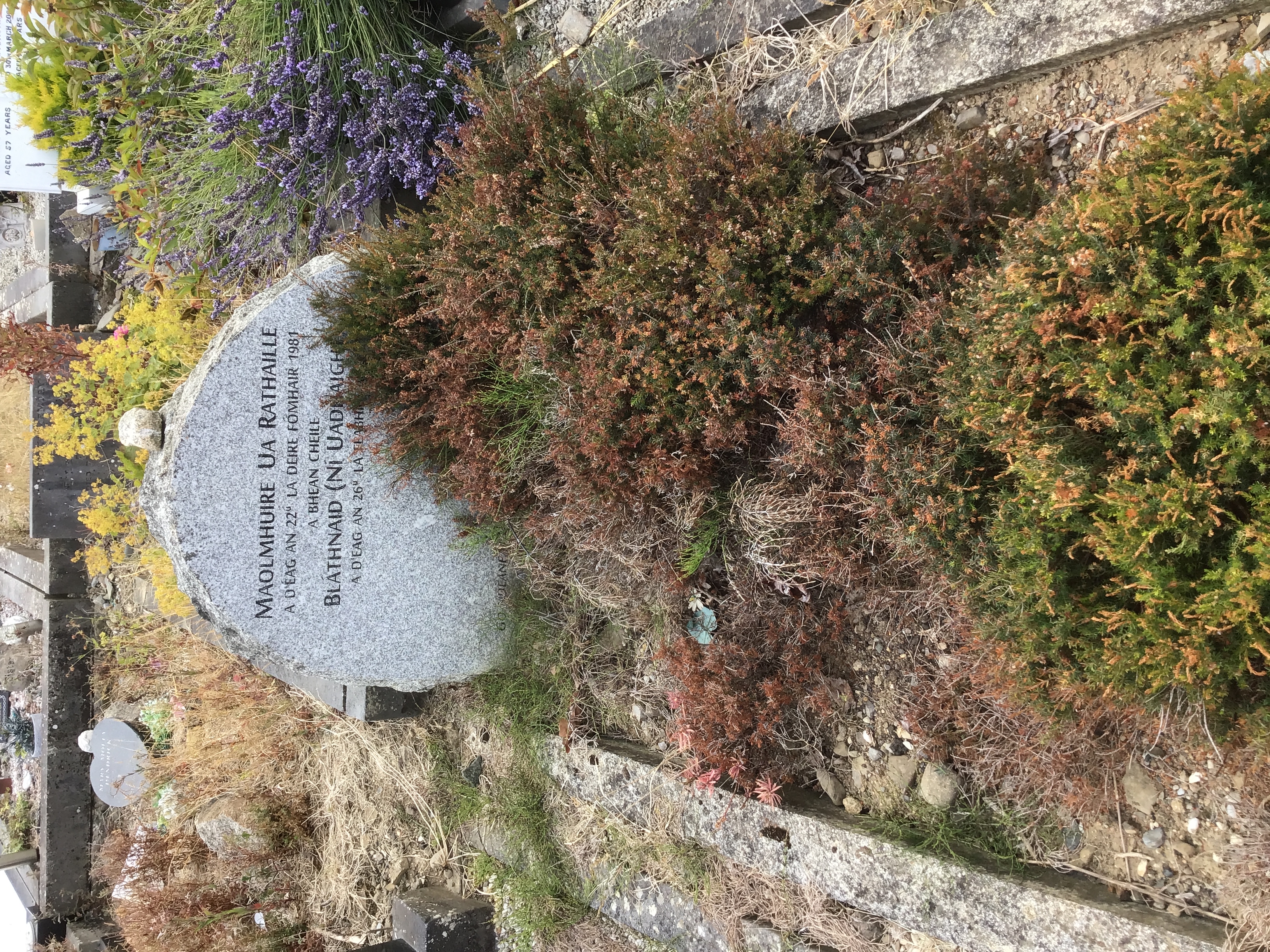 headstone